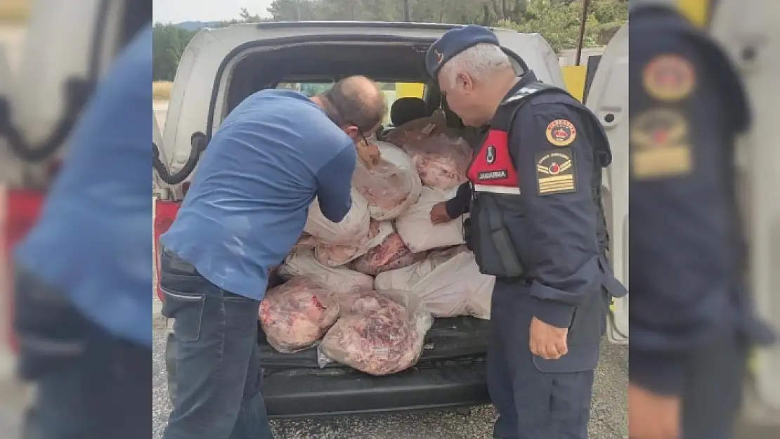 KÖYCEĞİZ'DE KAÇAK HAYVANSAL ÜRÜNLER YAKALANDI