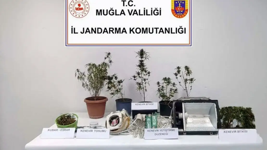 MUĞLA JANDARMA'SINDAN UYUŞTURUCU OPERASYONU!