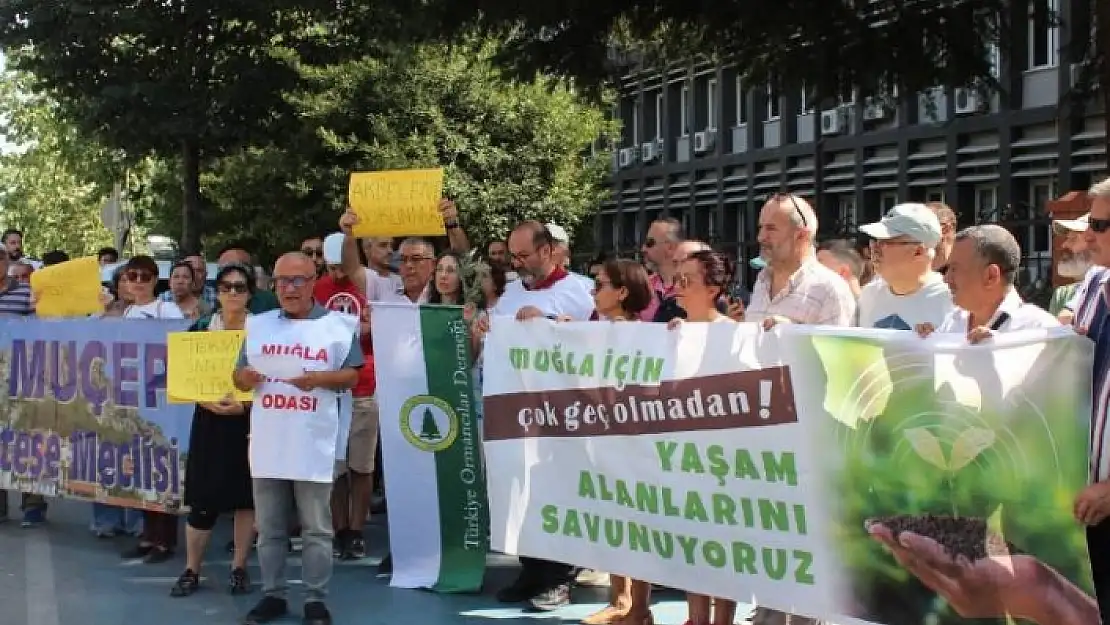 'AKBELEN'E DOKUNMA': MUĞLA ORMAN MÜDÜRLÜĞÜ'NDE ÇEVRECİ PROTESTO