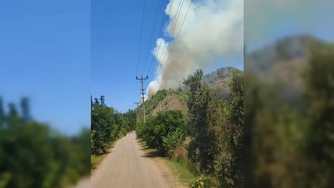 DALYAN'DA ORMAN YANGINI BAŞLADI