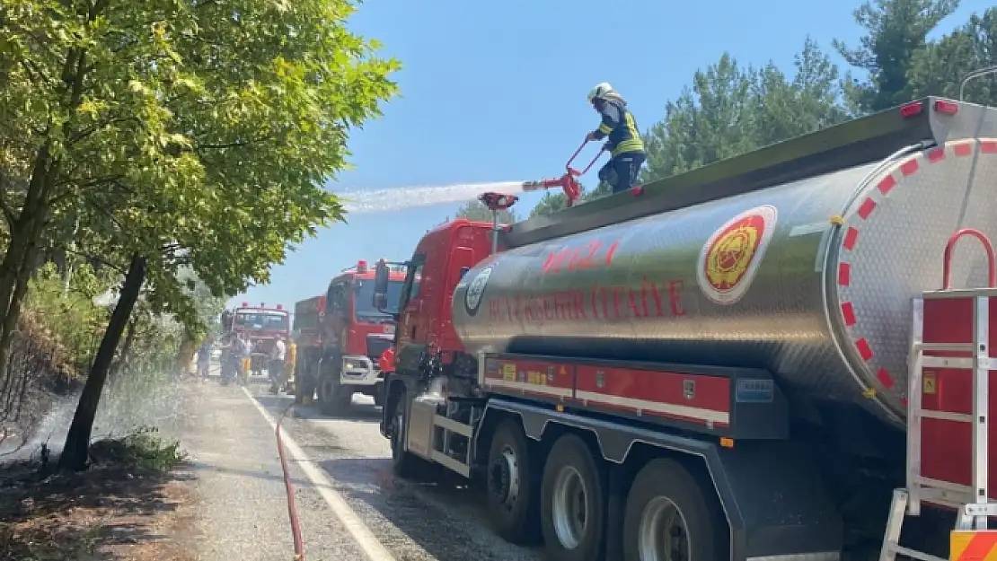 MENTEŞE'DEKİ YANGINDA ORMANLIK ALAN ZARAR GÖRDÜ