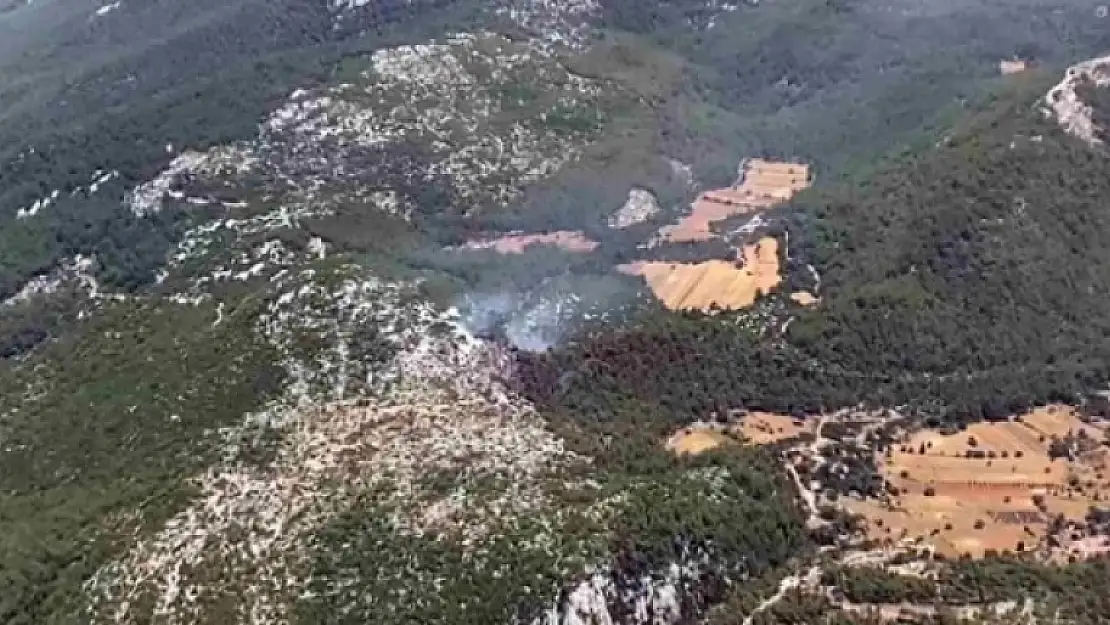MİLAS'TA BAŞLAYAN ORMAN YANGINI KISMEN KONTROL ALTINA ALINDI