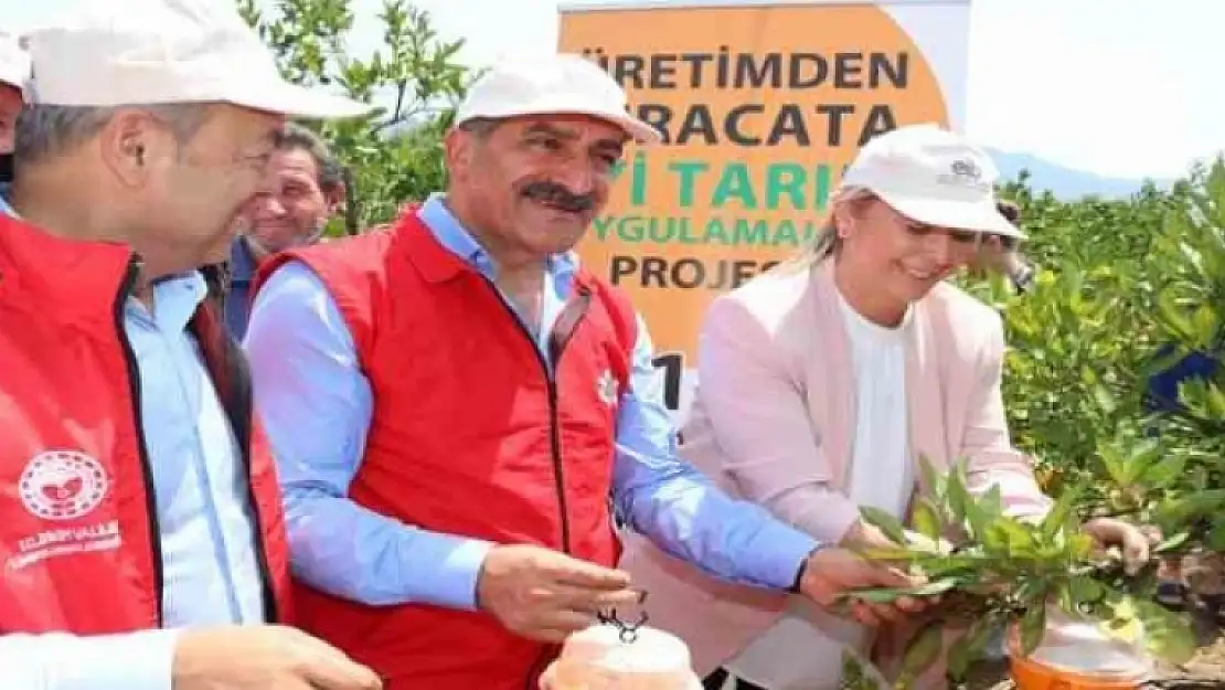 NARENCİYE İHRACATINDA HEDEF 1 MİLYAR DOLARI AÇMAK