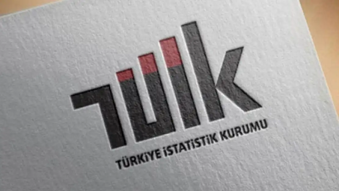 TARIMSAL GİRDİ FİYAT ENDEKSİ MAYIS AYINDA ARTTI