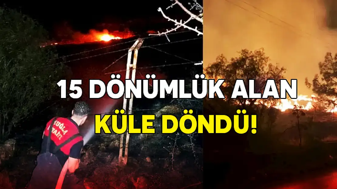 BODRUM YANGININDA 15 DÖNÜM MAKİLİK ALAN KÜL OLDU