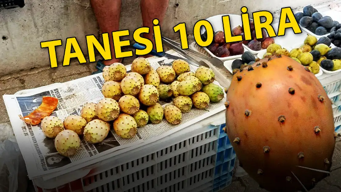 FETHİYE'DE DİKENLİ İNCİRİN TANESİ 10 LİRA
