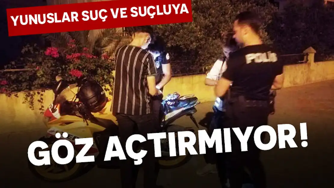 MARMARİS'TE YUNUSLAR SUÇ VE SUÇLUYA GÖZ AÇTIRMIYOR