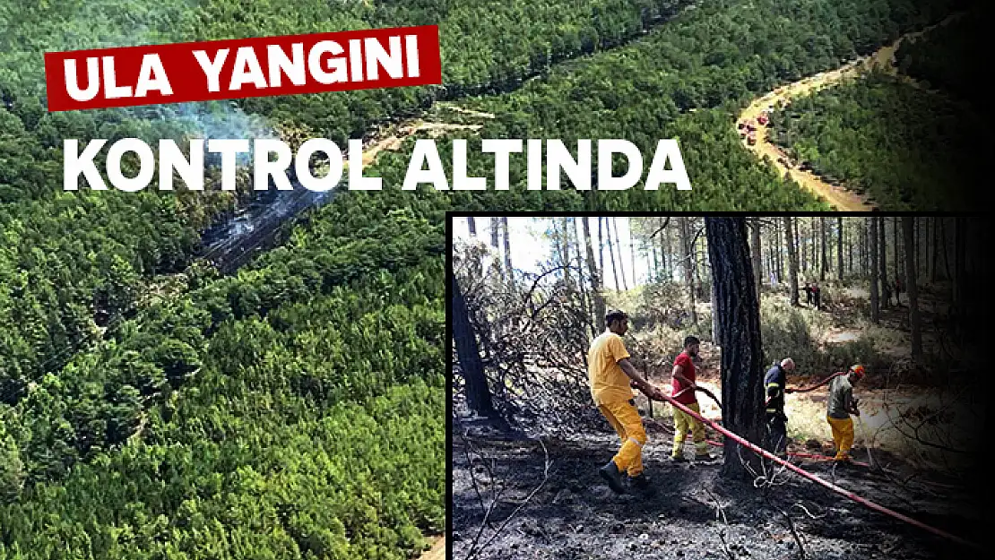 ULA'DA ÇIKAN ORMAN YANGINI KONTROL ALTINA ALINDI