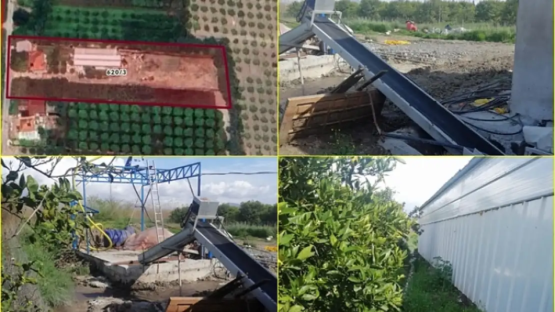 ORTACA'DA, HALK SAĞLIĞINI TEHDİT EDEN KAÇAK TAVUK ÇİFTLİĞİNE TEPKİLER BÜYÜYOR