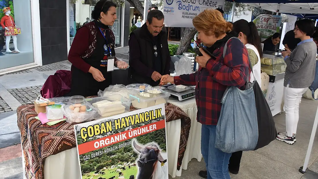 BODRUM'DA ULUSAL PEYNİR FESTİVALİ BAŞLADI