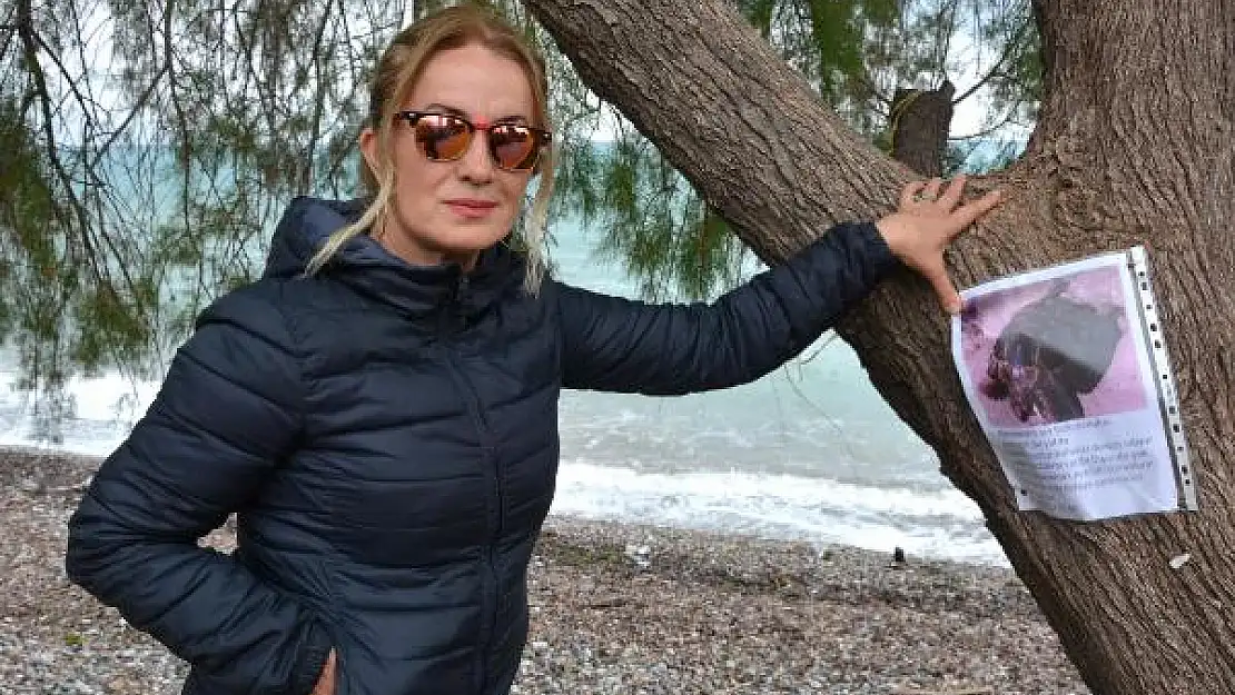 DATÇA'DA KAPLUMBAĞASINI BULANA 1000 LİRA ÖDÜL VERECEK