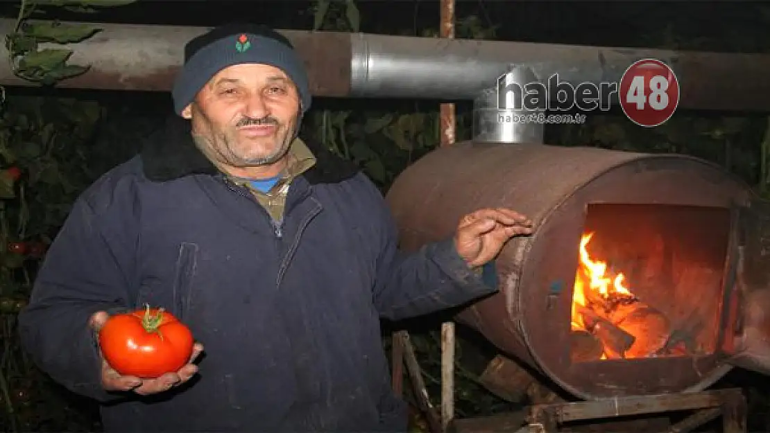 Fethiye'li Çifçilerin Don Nöbeti