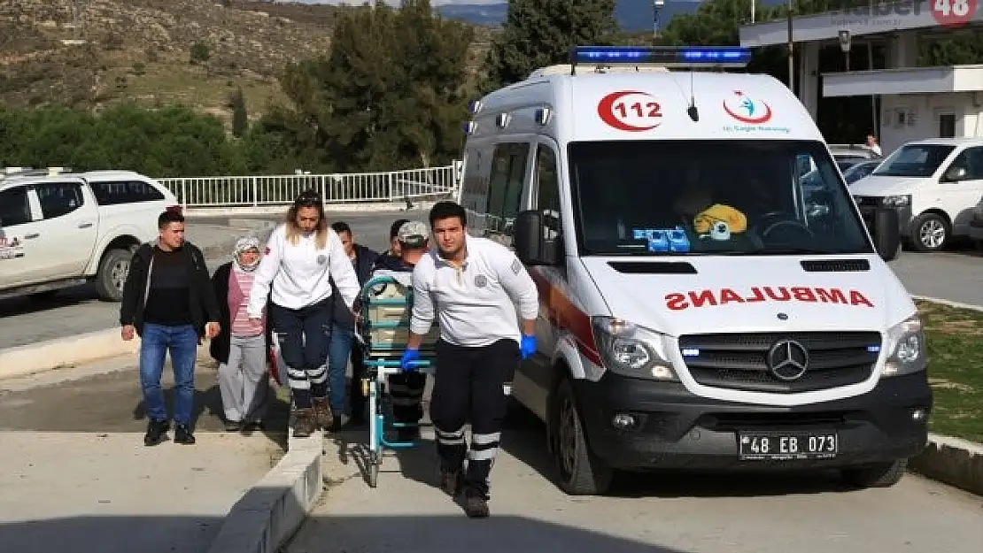 Milas'da Arkadaşını Domuz Sanıp Vurdu