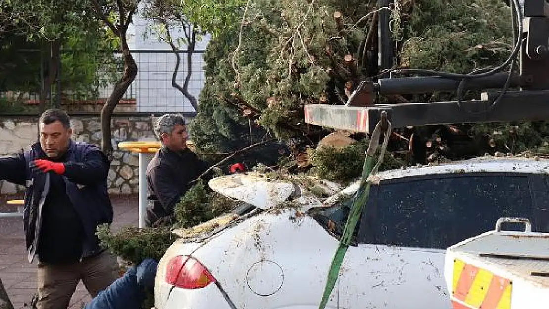 Bodrum'da Fırtına Etkili Oldu