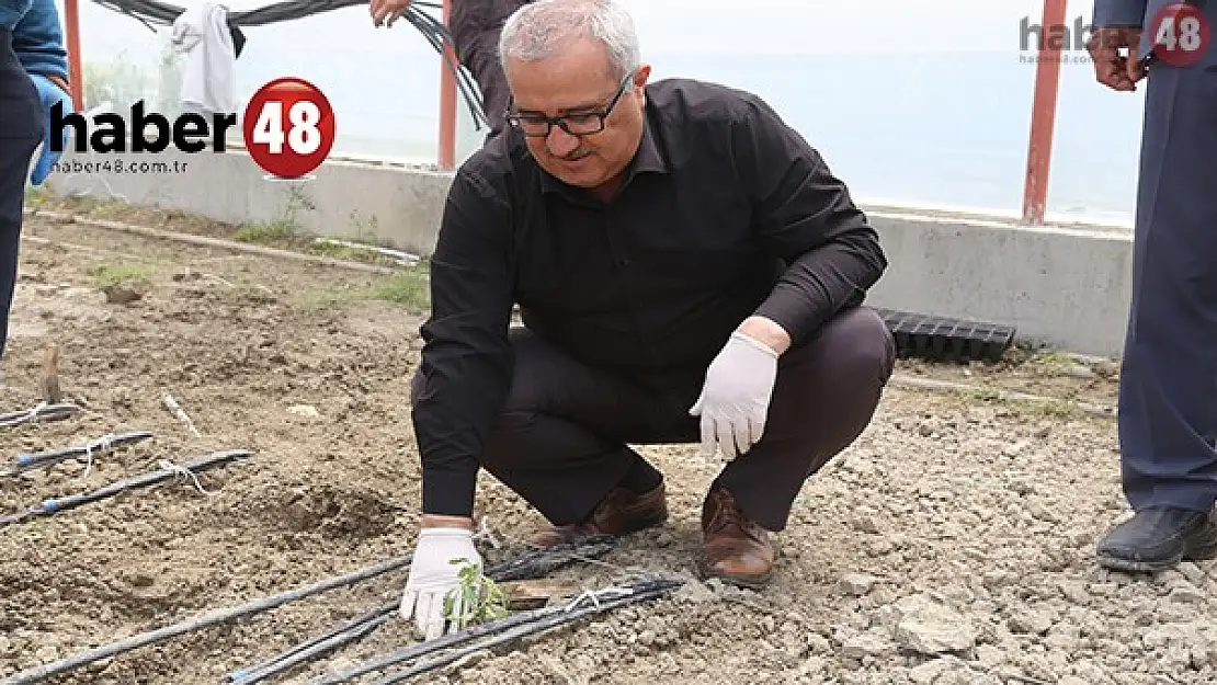 'ÇAMELİ ARTIK EKOLOJİK TARIM İLÇESİ'