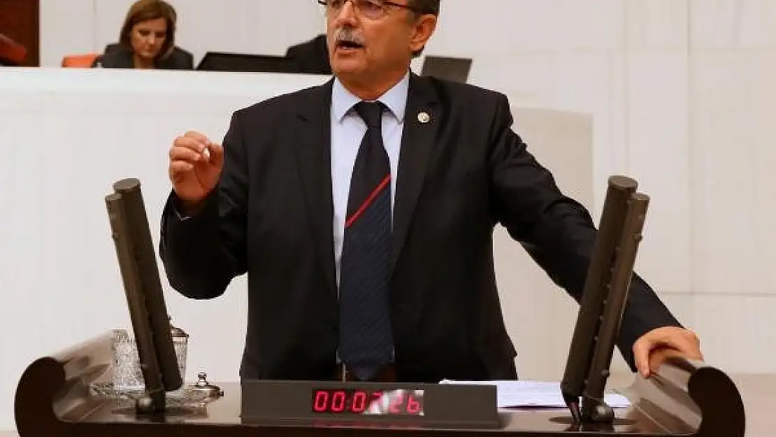 CHP'li Vekil 'Datça Bademi'ne Destek İstedi