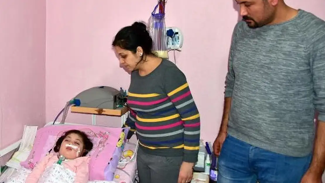 Minik Doğa'nın sokağa çıkabilmesi için yardım kampanyası