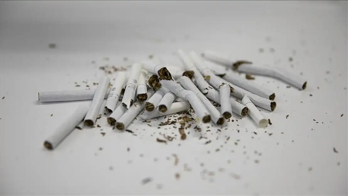 Tütün kullanımı önlenebilir ölüm nedenleri arasında ilk sırada