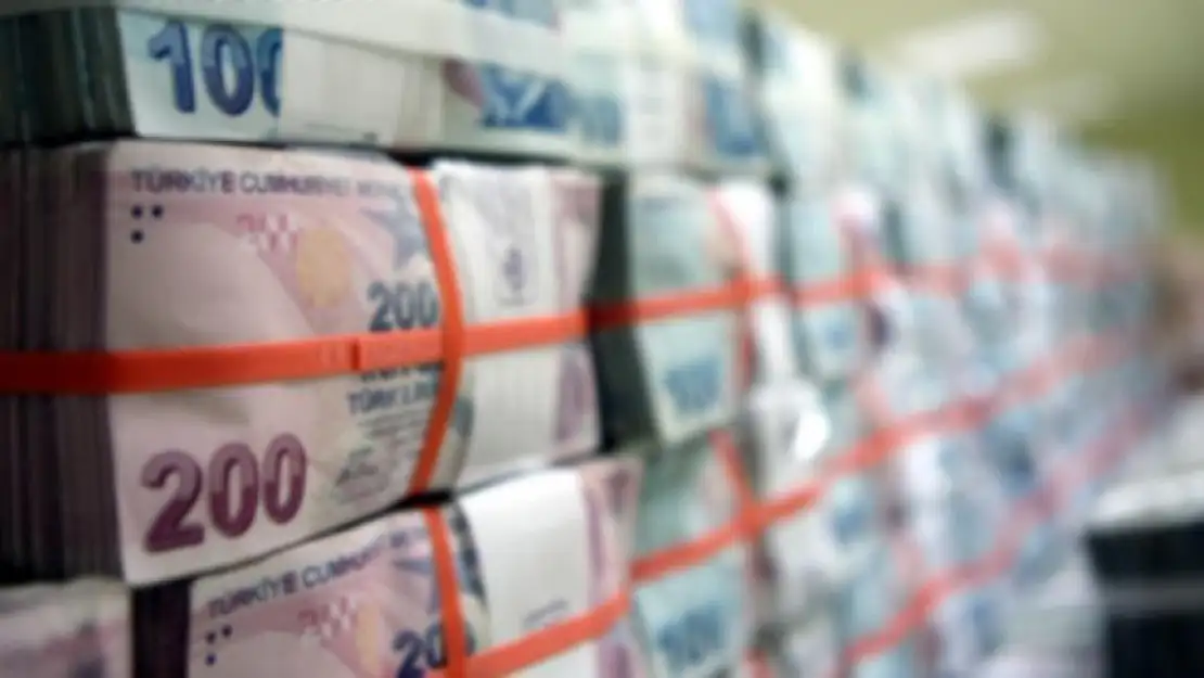 Cari işlemler hesabı, kasımda 986 milyon dolar fazla verdi
