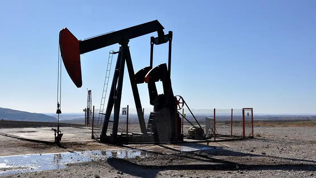 TPAO'ya 7 petrol arama ruhsatı verildi