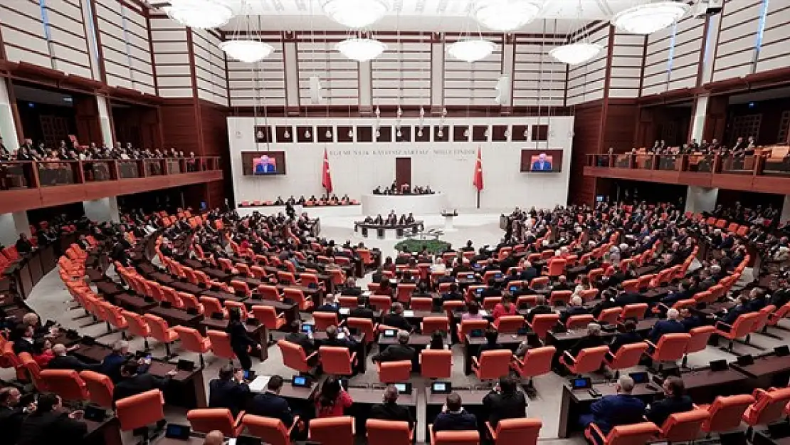 İntikam hakkı verilsin, kadınlar için askerlik yerine kamu hizmeti yapsın: Meclis'e ilginç dilekçeler yağdı!
