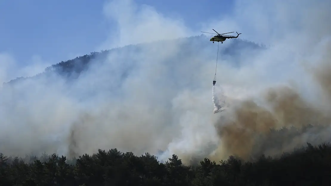 İzmir Seferihisar yangınına müdahale sürüyor