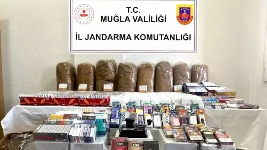 Jandarmadan Bodrum'da kaçak tütün operasyonu