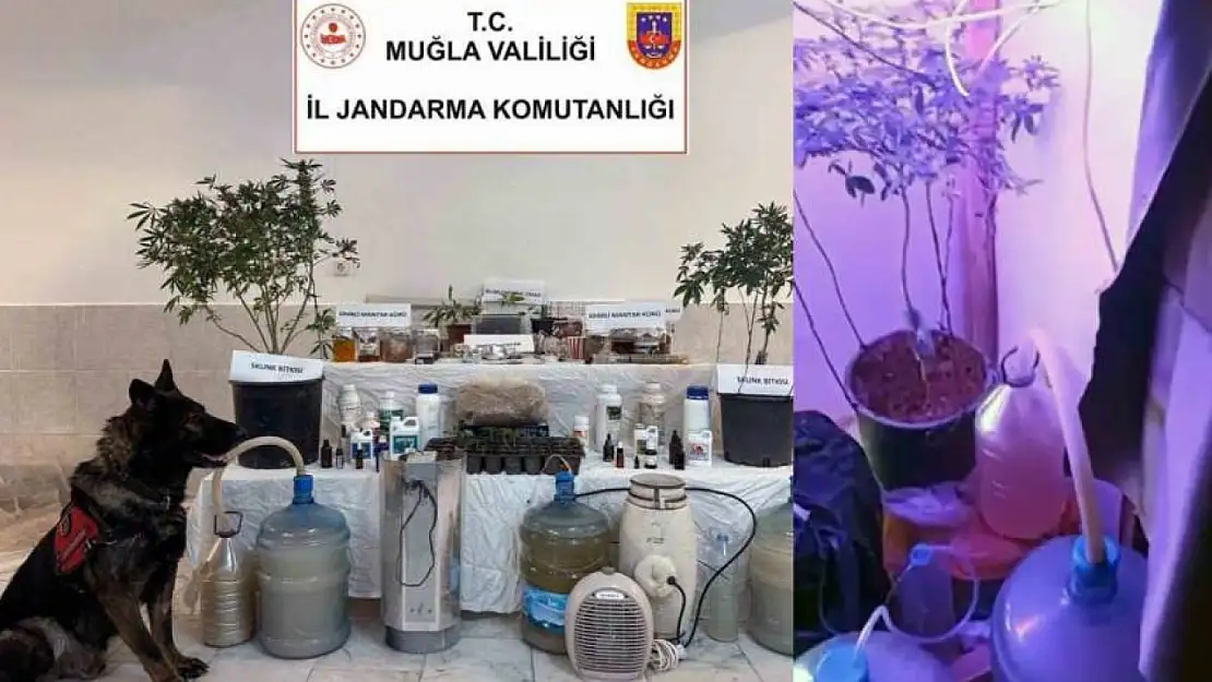 Jandarmadan Ortaca'da şok baskın! Evde uyuşturucu üretim düzeneği ele geçirildi