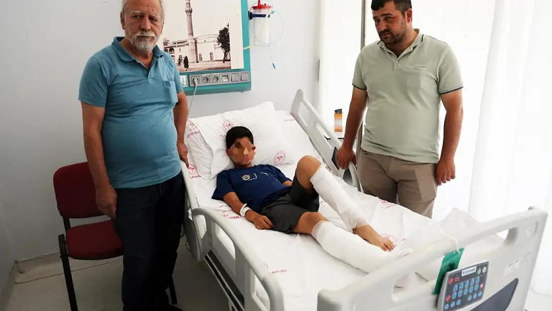 Köyceğiz'de sokak köpeği saldırısına uğrayan çocuğun ailesi ateş püskürdü