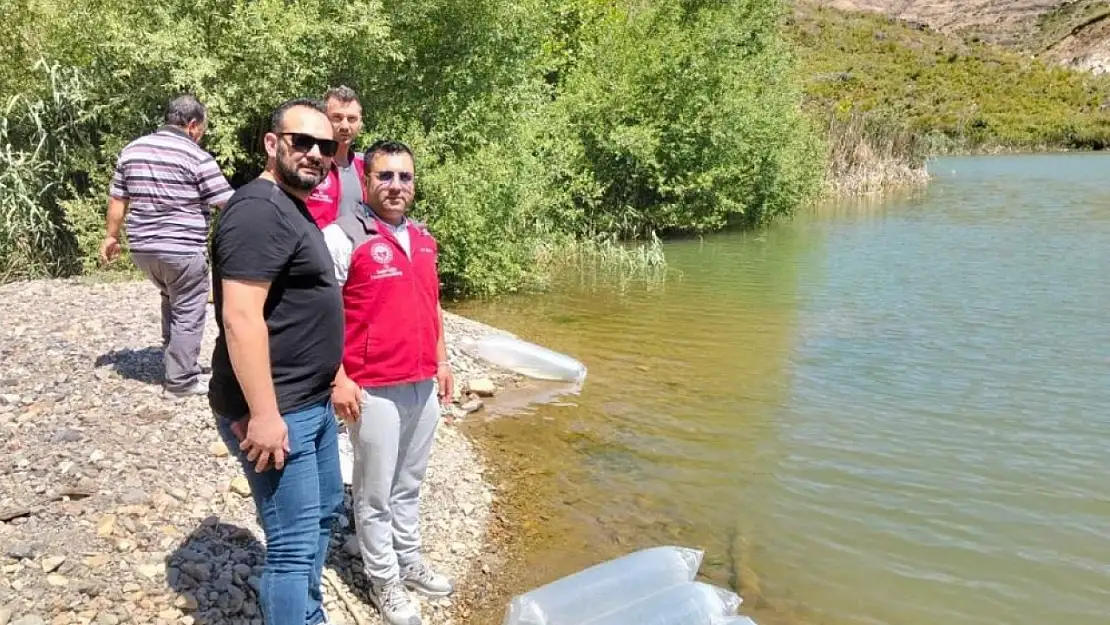 Kozağaç Baraj Gölü'ne 40 bin sazan yavrusu salındı