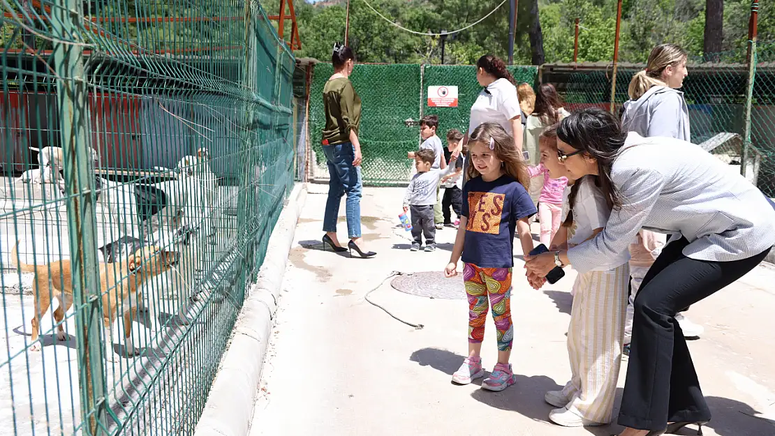 Marmaris Belediyesi'nden minik öğrencilere patili dostlara buluşma