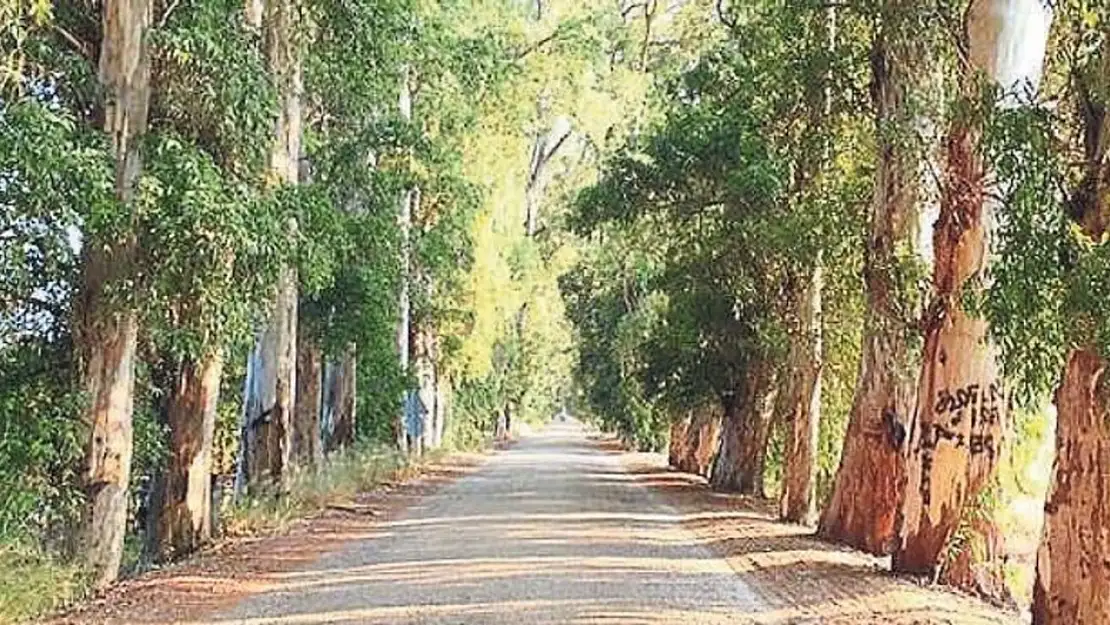 Marmaris tatilinin vazgeçilmez rotası Aşıklar Yolu'nun bilinmeyen hikayesi…