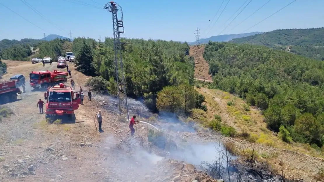 Marmaris'te orman yangını! Büyümeden söndürüldü