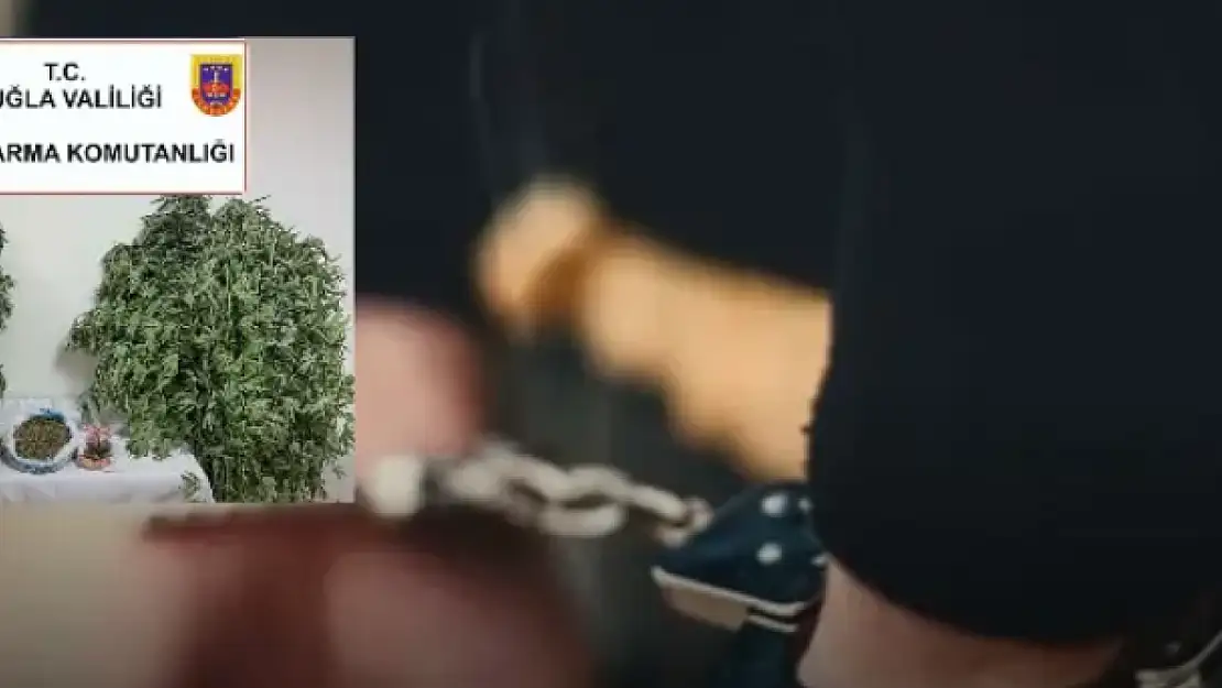 Menteşe'de 70 yaşındaki adam uyuşturucu üretiyormuş! Jandarma baskınla gözaltına aldı