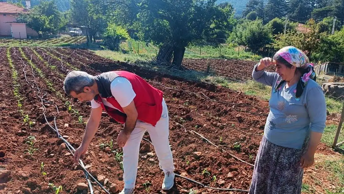 Menteşe'de Tarım Müdürlüğü çiftçileri ziyaret etti