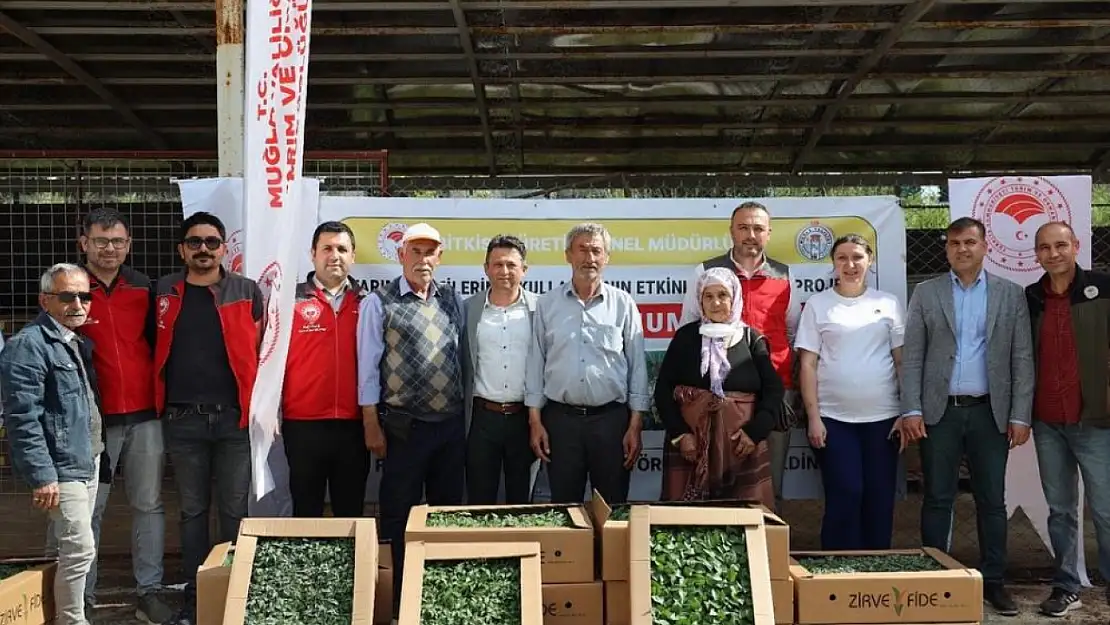 Menteşe'de üreticiye yüzde 50 hibeli destek başladı