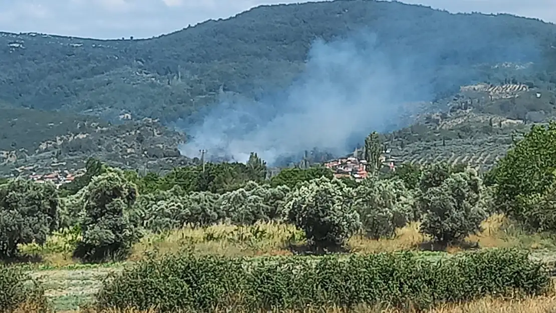 Menteşe'de yangın alarmı! Söndürme çalışmaları başladı