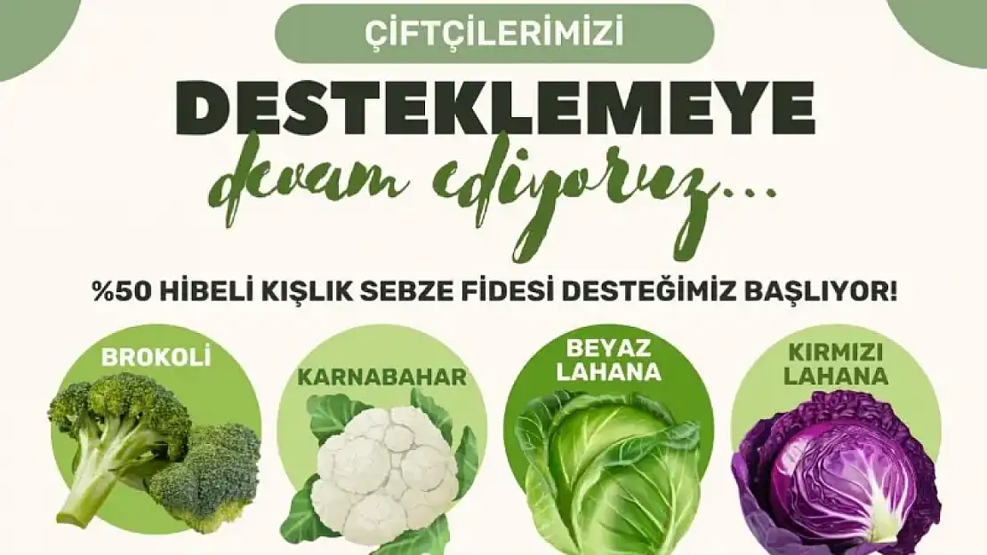 Milas Belediyesi'nden üreticilere yüzde 50 hibeli kışlık sebze fidesi desteği
