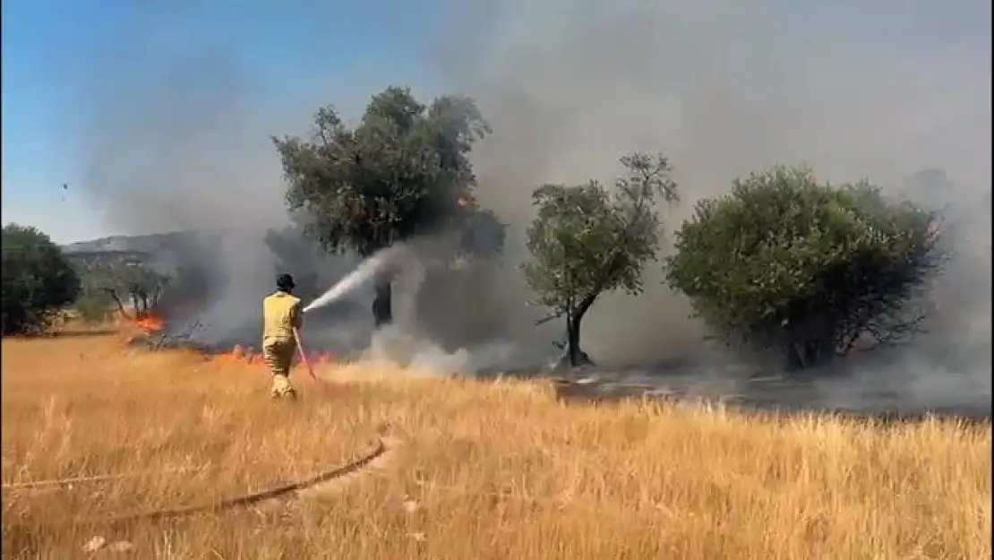 Milas Pınarcık ve Demirciler yangını kontrol altına alındı