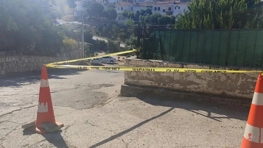 Milas'ta acı olay! Domuz sürüsünden kaçarken ağır yaralandı