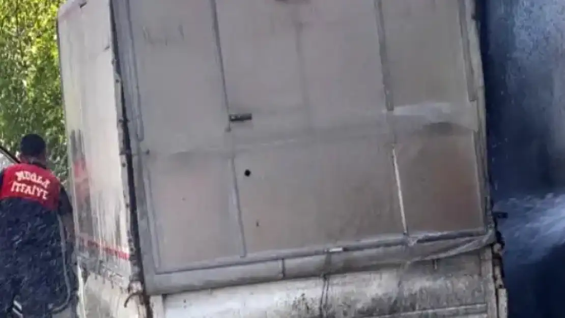 Milas'ta terkedilmiş kamyonet cayır cayır yandı!