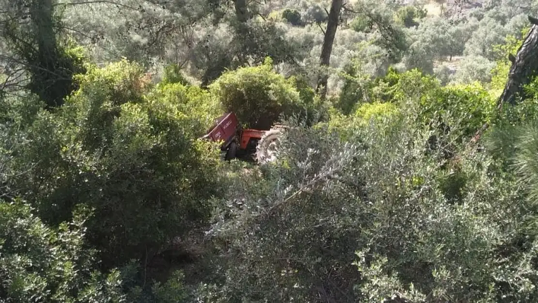 Milas'ta traktör kontrolden çıktı! Ormanlık alana devrildi