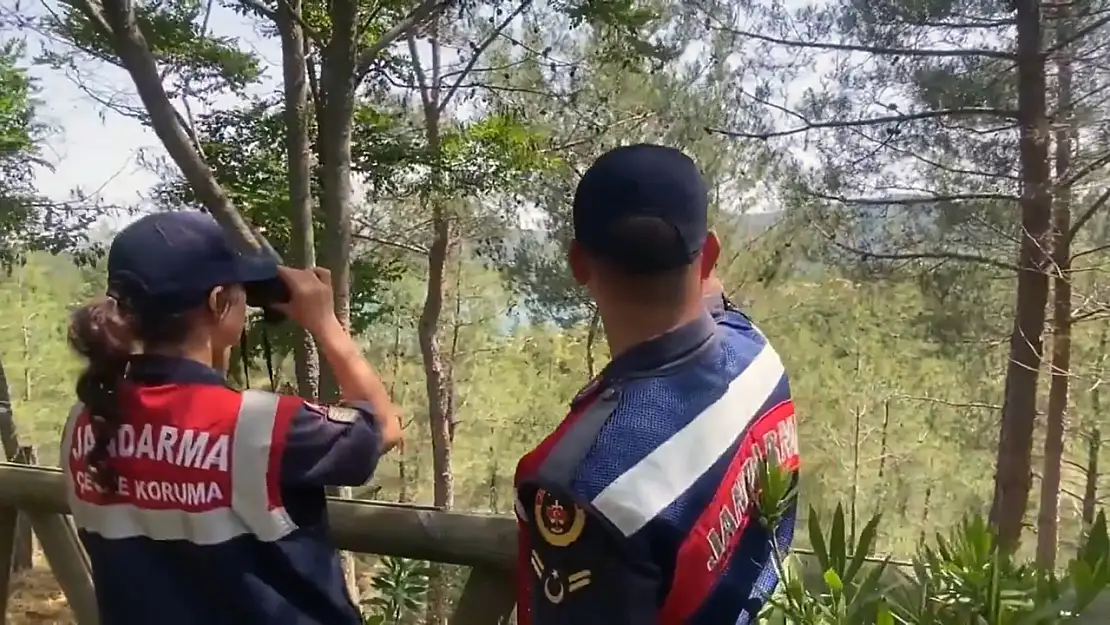 Muğla'da yeşil vatan nöbeti