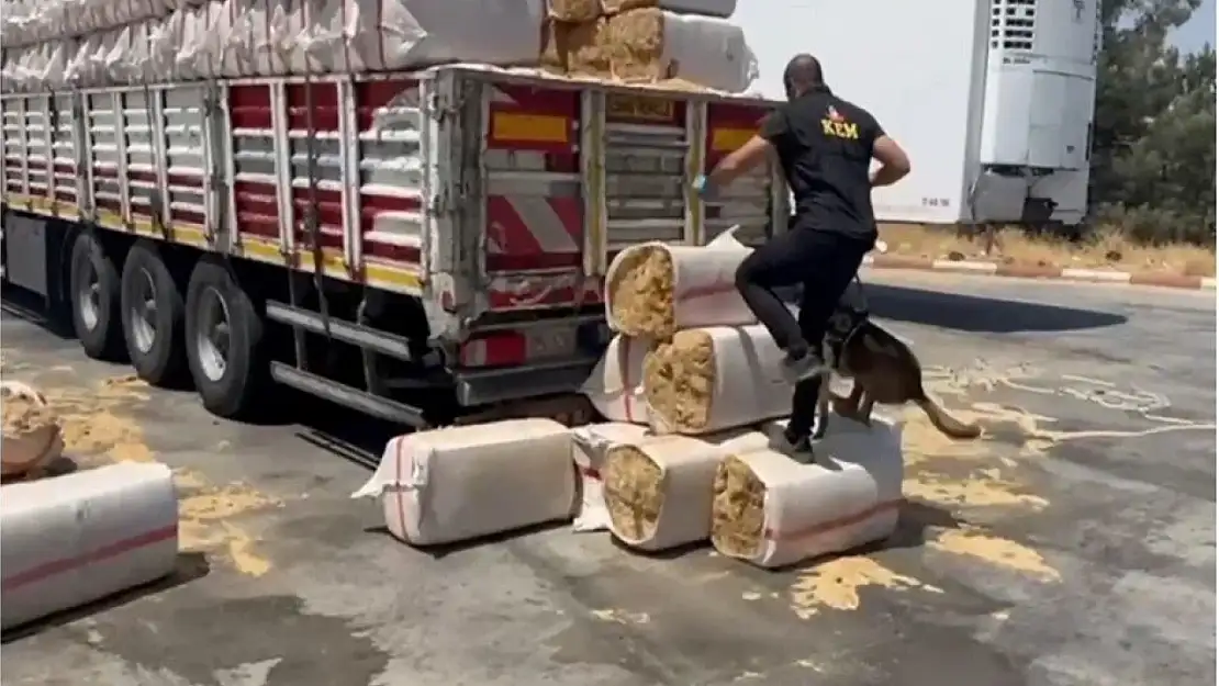 Muğla dahil 73 ilde dev uyuşturucu operasyonu: Binlerce kişi gözaltında