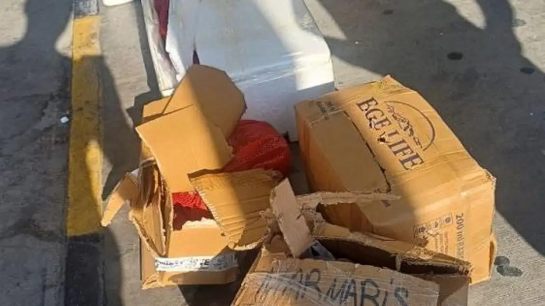 Muğla otogarında sahipsiz midye skandalı