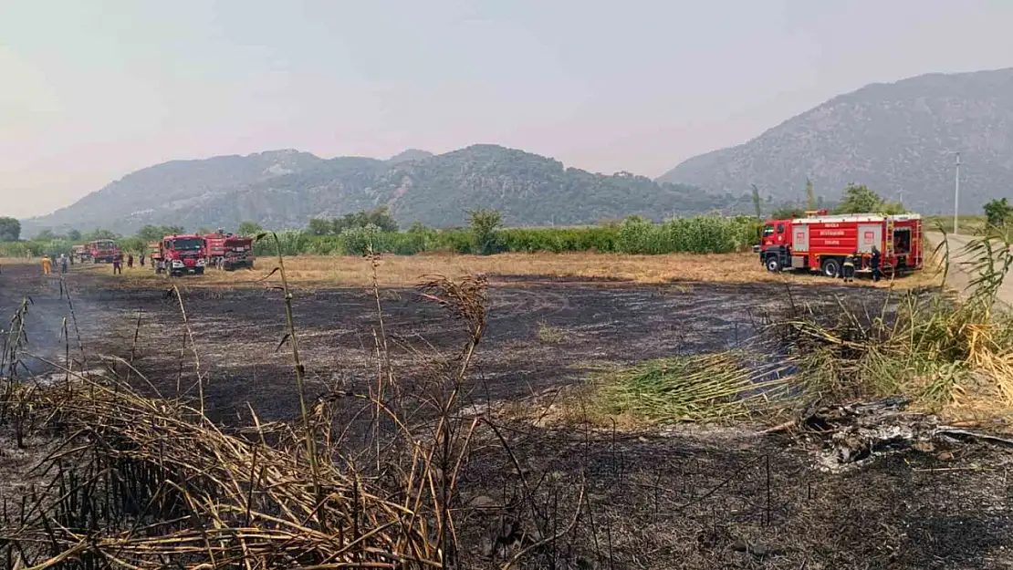 Ortaca'da sazlık yangını çıktı