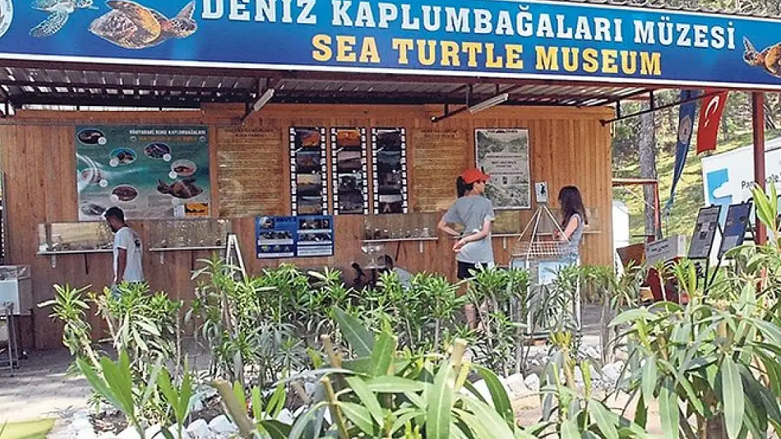 Ortaca'daki Deniz Kaplumbağaları Müzesi 70 bin ziyaretçiyi ağırlıyor