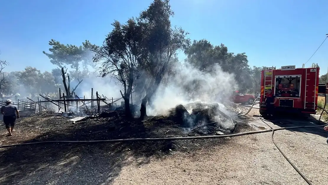 Seydikemer'de ahır yangını: 14 küçükbaş telef oldu!