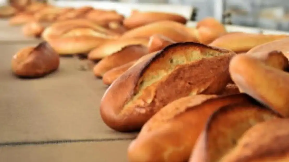 Tabakta bitmedi,  çöpe gitti! Günde 4,9 milyon ekmek, yılda 18 milyon ton gıda israf ediliyor