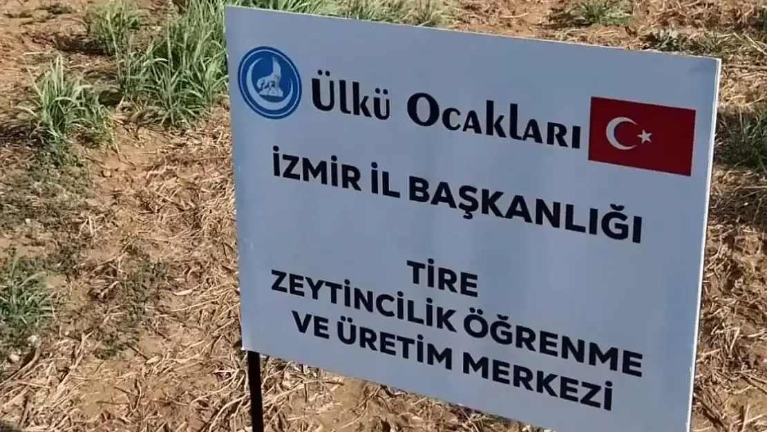 Ülkü Ocakları zeytinciliği gelecek nesillere taşıyor
